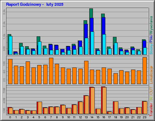 Raport Godzinowy - luty 2025 Raport Godzinowy - luty 2025
