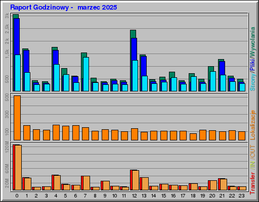 Raport Godzinowy -  marzec 2025