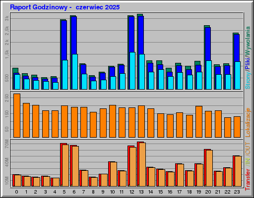 Raport Godzinowy -  czerwiec 2025