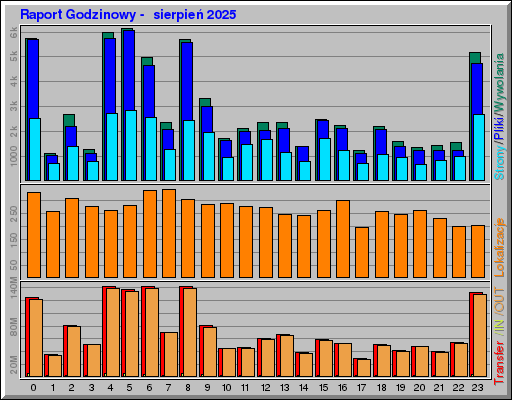Raport Godzinowy -  sierpień 2025