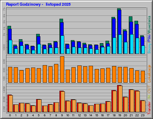 Raport Godzinowy -  listopad 2025