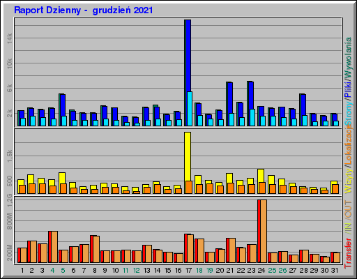 Raport Dzienny -  grudzień 2021