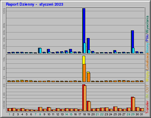 Raport Dzienny -  styczeń 2023