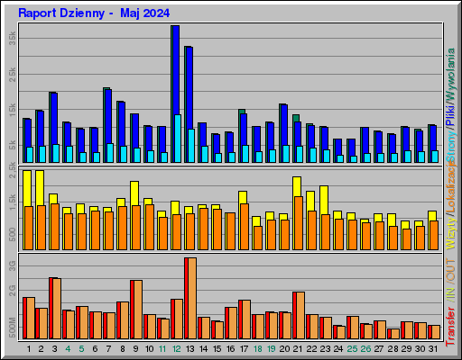 Raport Dzienny -  Maj 2024