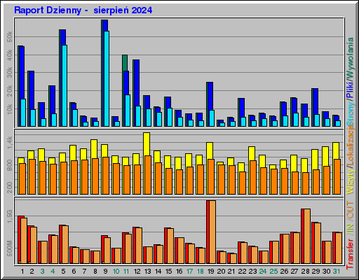 Raport Dzienny -  sierpień 2024