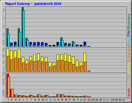 Raport Dzienny -  październik 2024