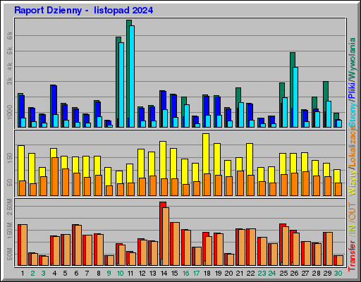 Raport Dzienny -  listopad 2024