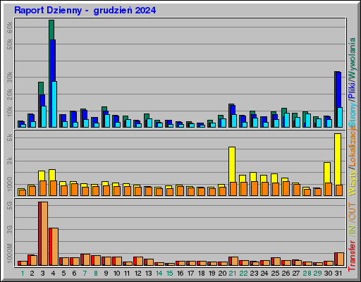 Raport Dzienny -  grudzień 2024