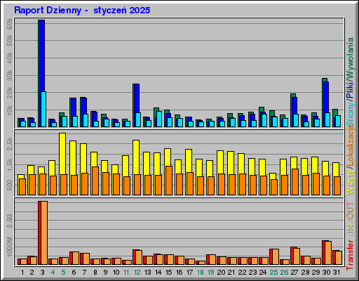 Raport Dzienny -  styczeń 2025