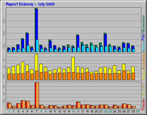 Raport Dzienny -  luty 2025
