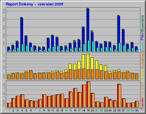 Raport Dzienny -  czerwiec 2025