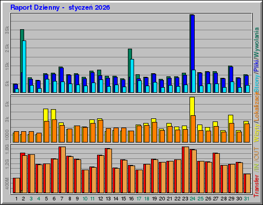 Raport Dzienny -  styczeń 2026