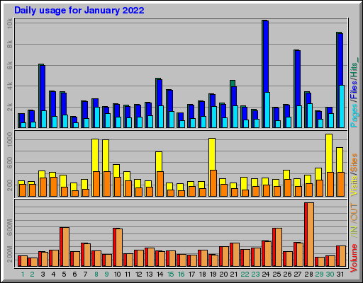 Raport Dzienny -  styczeń 2022
