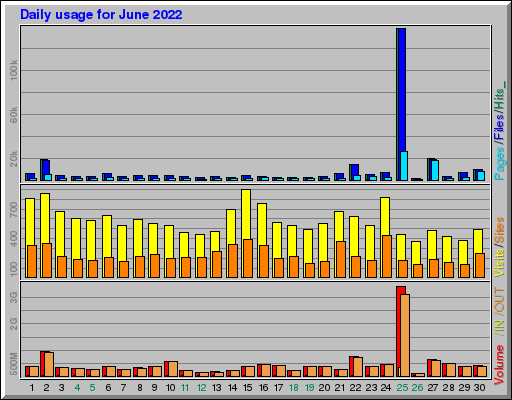 Raport Dzienny -  czerwiec 2022
