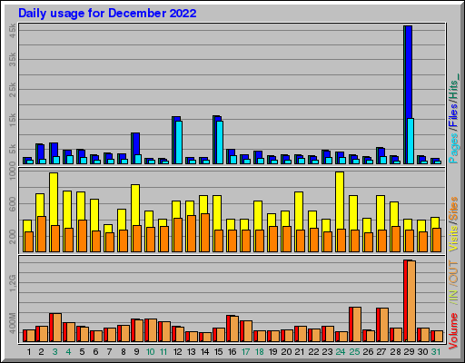 Raport Dzienny -  grudzień 2022