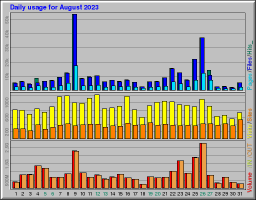 Raport Dzienny -  sierpień 2023