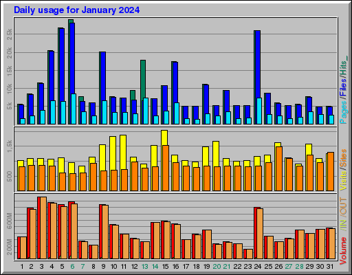 Raport Dzienny -  styczeń 2024