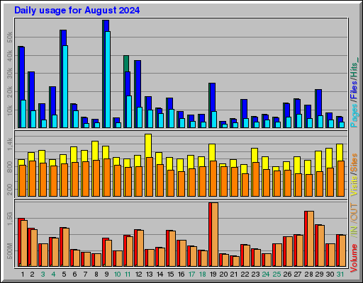 Raport Dzienny -  sierpień 2024
