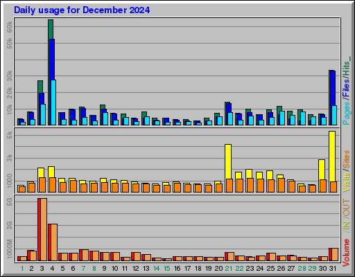 Raport Dzienny -  grudzień 2024