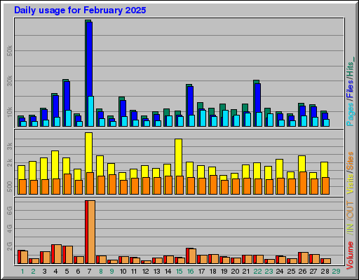 Raport Dzienny -  luty 2025