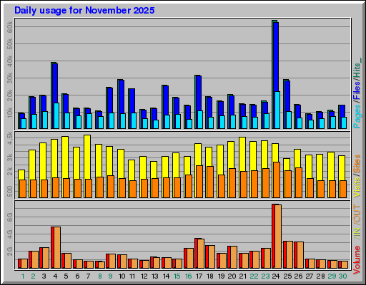 Raport Dzienny -  listopad 2025