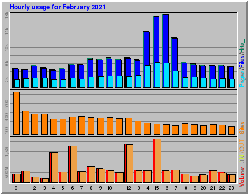 Raport Godzinowy -  luty 2021