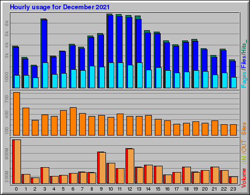 Raport Godzinowy -  grudzień 2021