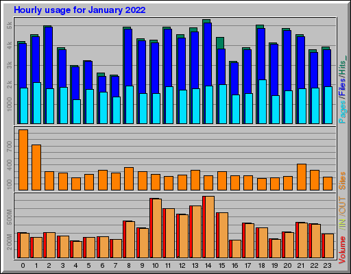 Raport Godzinowy -  styczeń 2022