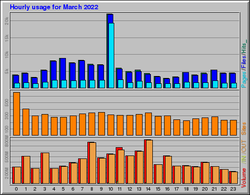 Raport Godzinowy -  marzec 2022