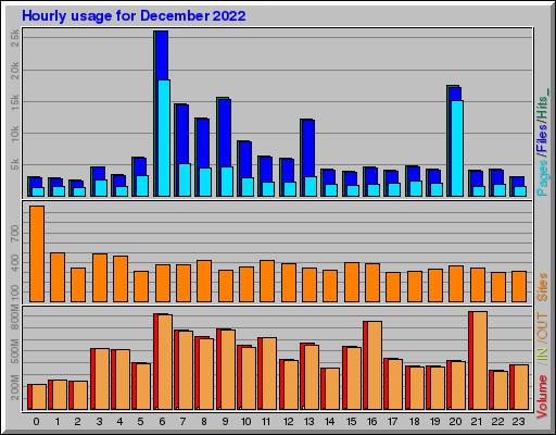 Raport Godzinowy -  grudzień 2022