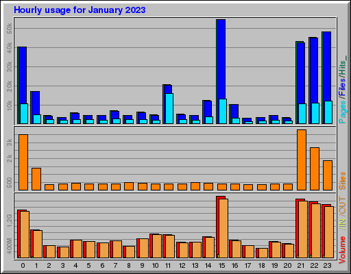 Raport Godzinowy -  styczeń 2023