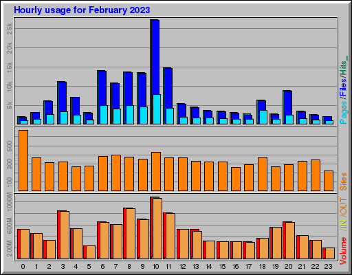 Raport Godzinowy -  luty 2023