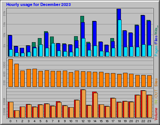 Raport Godzinowy -  grudzień 2023
