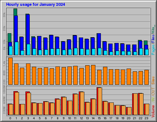 Raport Godzinowy -  styczeń 2024