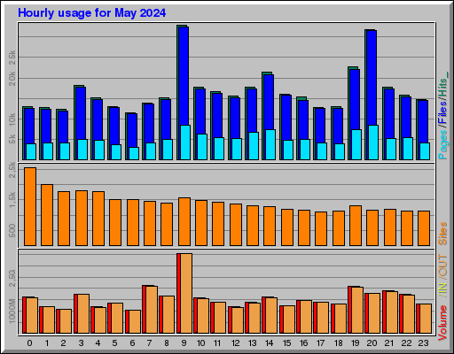 Raport Godzinowy -  Maj 2024