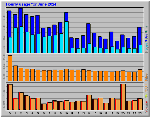 Raport Godzinowy -  czerwiec 2024