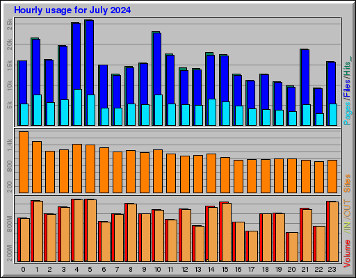 Raport Godzinowy -  lipiec 2024