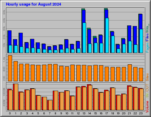 Raport Godzinowy -  sierpień 2024
