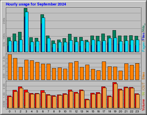 Raport Godzinowy -  wrzesień 2024