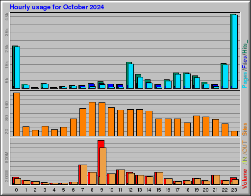 Raport Godzinowy -  październik 2024
