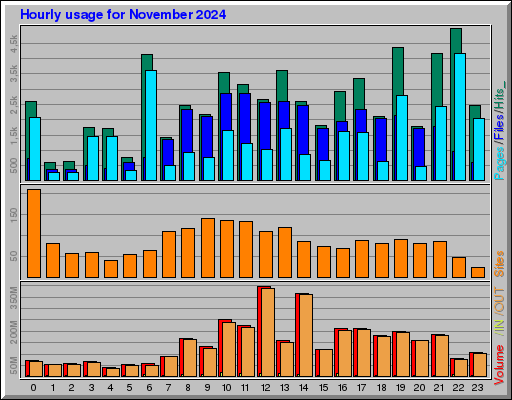 Raport Godzinowy -  listopad 2024