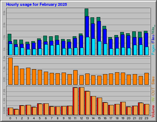Raport Godzinowy -  luty 2025