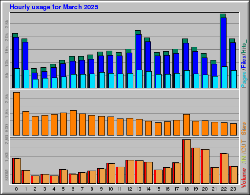 Raport Godzinowy -  marzec 2025
