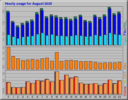 Raport Godzinowy -  sierpień 2025