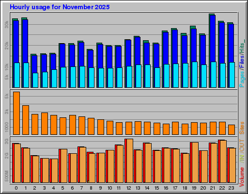 Raport Godzinowy -  listopad 2025