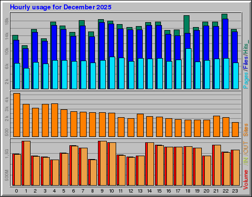 Raport Godzinowy -  grudzień 2025
