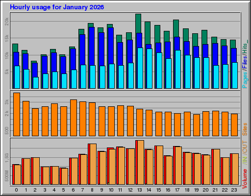 Raport Godzinowy -  styczeń 2026