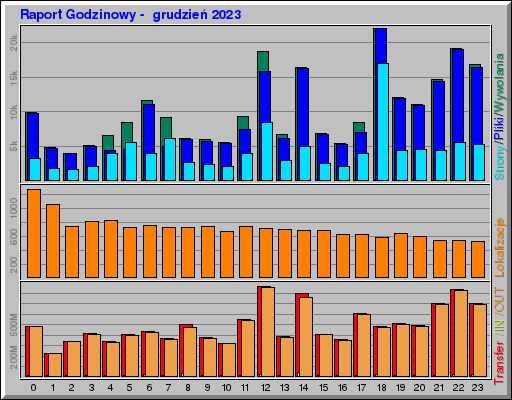 Raport Godzinowy -  grudzień 2023