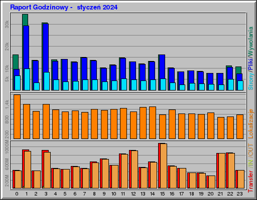 Raport Godzinowy -  styczeń 2024