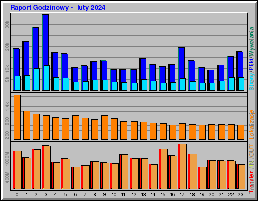 Raport Godzinowy -  luty 2024